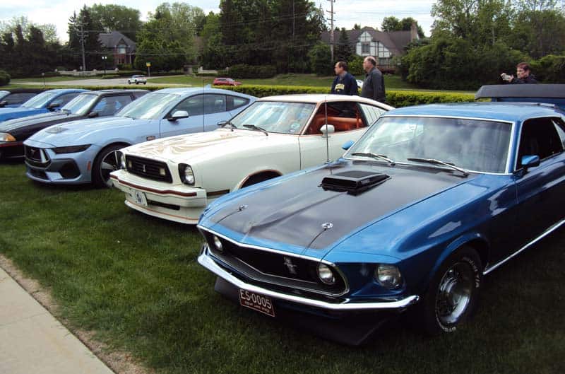 Mustangs in a row